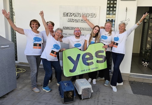 streetcats of samos support by yes rent a car